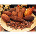 Gewichtsverlust Ergänzung Kakao Extrakt Theobromin 10% 20%